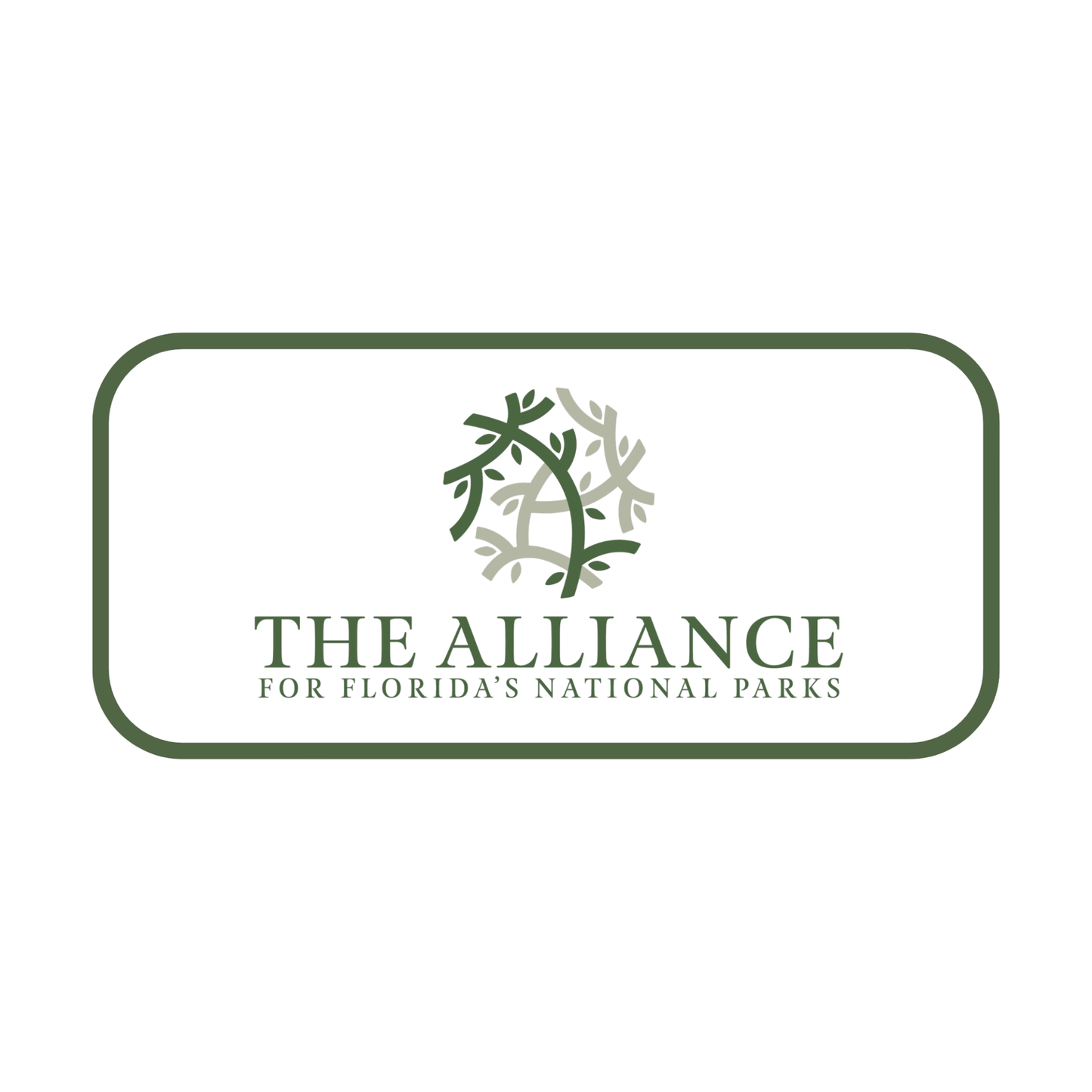 Alliance Magnet